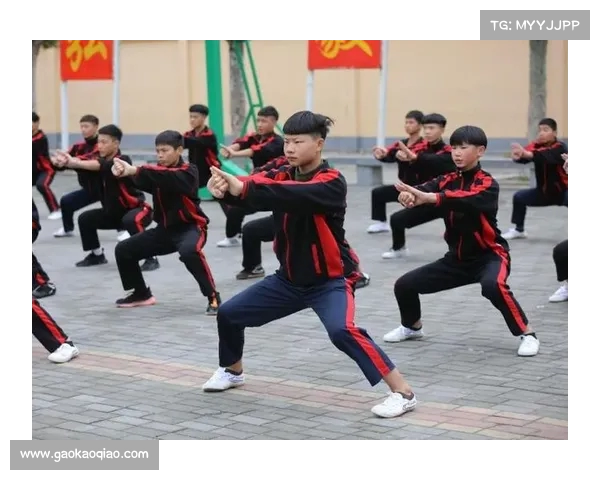 练习武术不仅强身健体还可提升心理素质与社交能力的多重好处 练习武术不仅强身健体还可提升心理素质与社交能力的多重好处